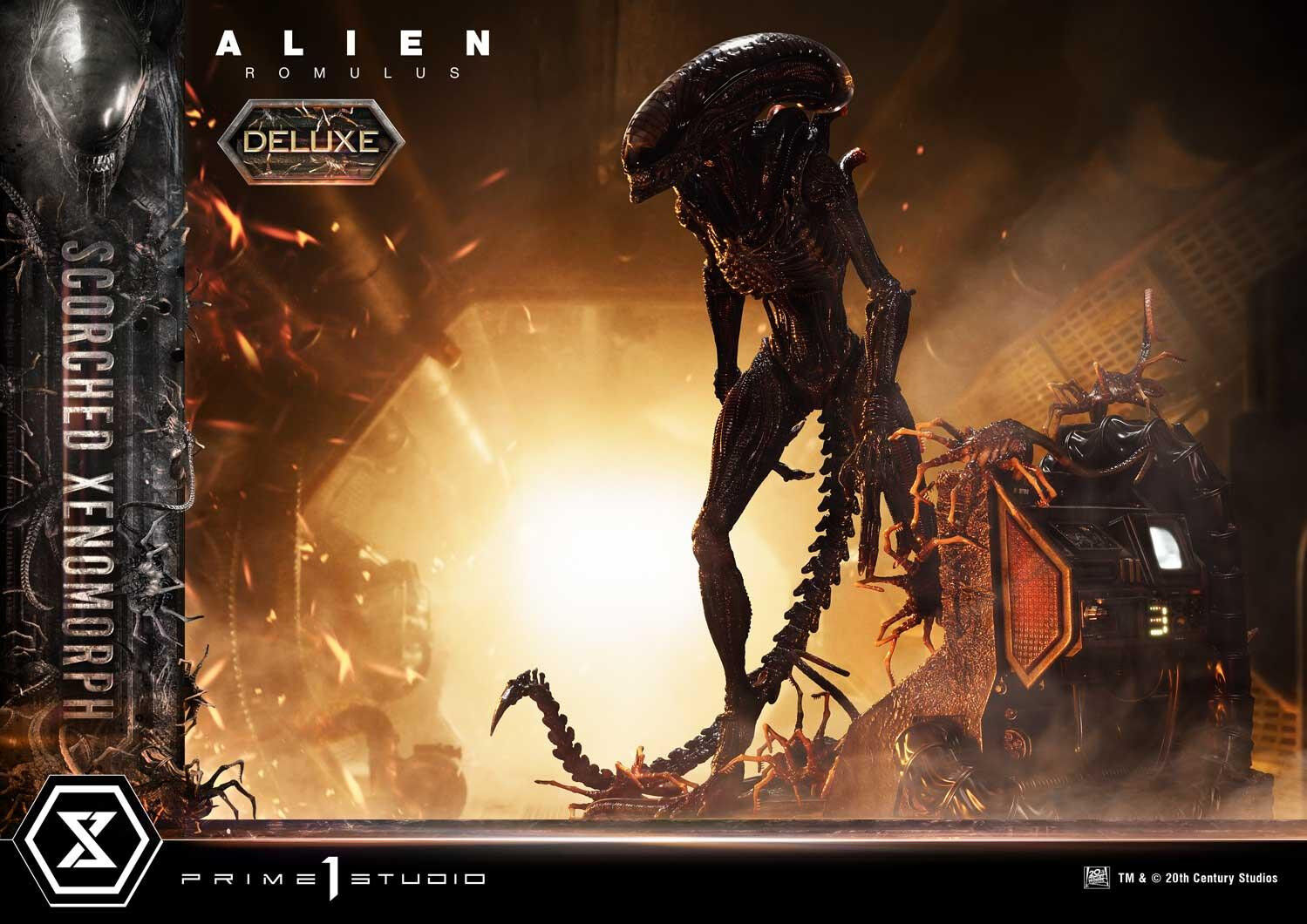 Alien: Romulus - Facehugger - Scorched Alien - Museum Masterline XL (MMXLAL-02DXS) - 1/3 - DX Bonus Version (Prime 1 Studio) photo 22