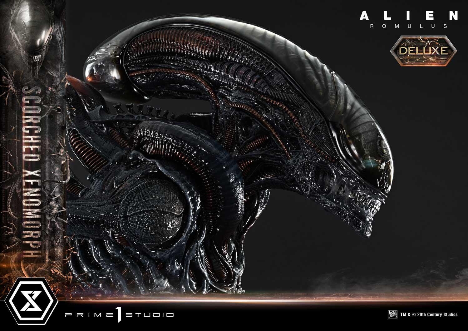 Alien: Romulus - Facehugger - Scorched Alien - Museum Masterline XL (MMXLAL-02DXS) - 1/3 - DX Bonus Version (Prime 1 Studio) photo 27