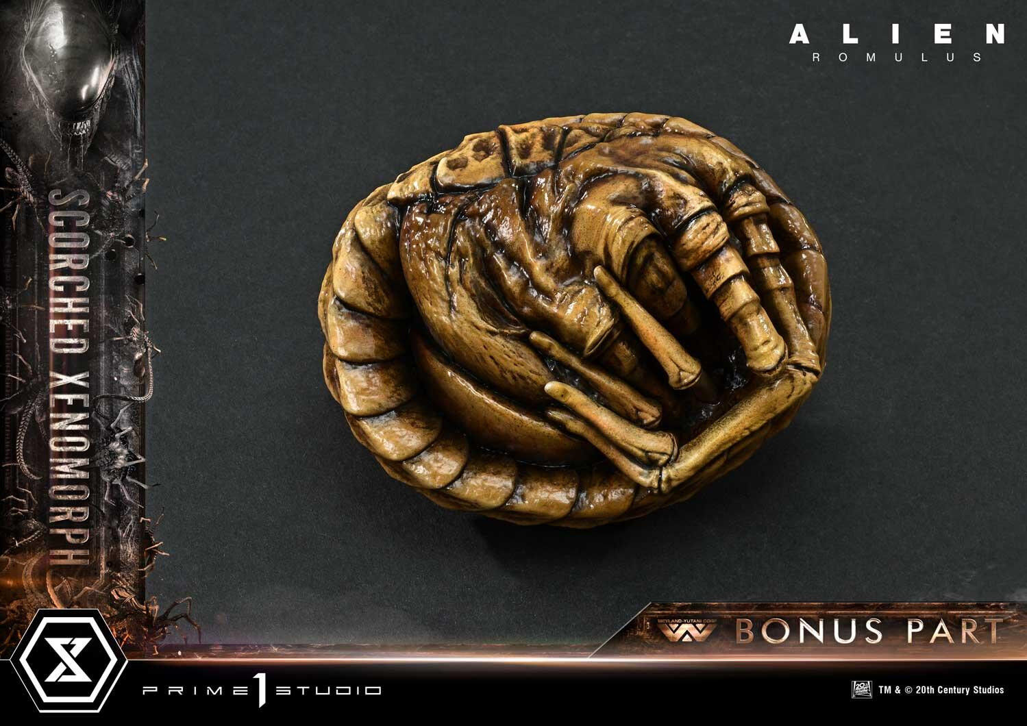 Alien: Romulus - Facehugger - Scorched Alien - Museum Masterline XL (MMXLAL-02DXS) - 1/3 - DX Bonus Version (Prime 1 Studio) photo 32