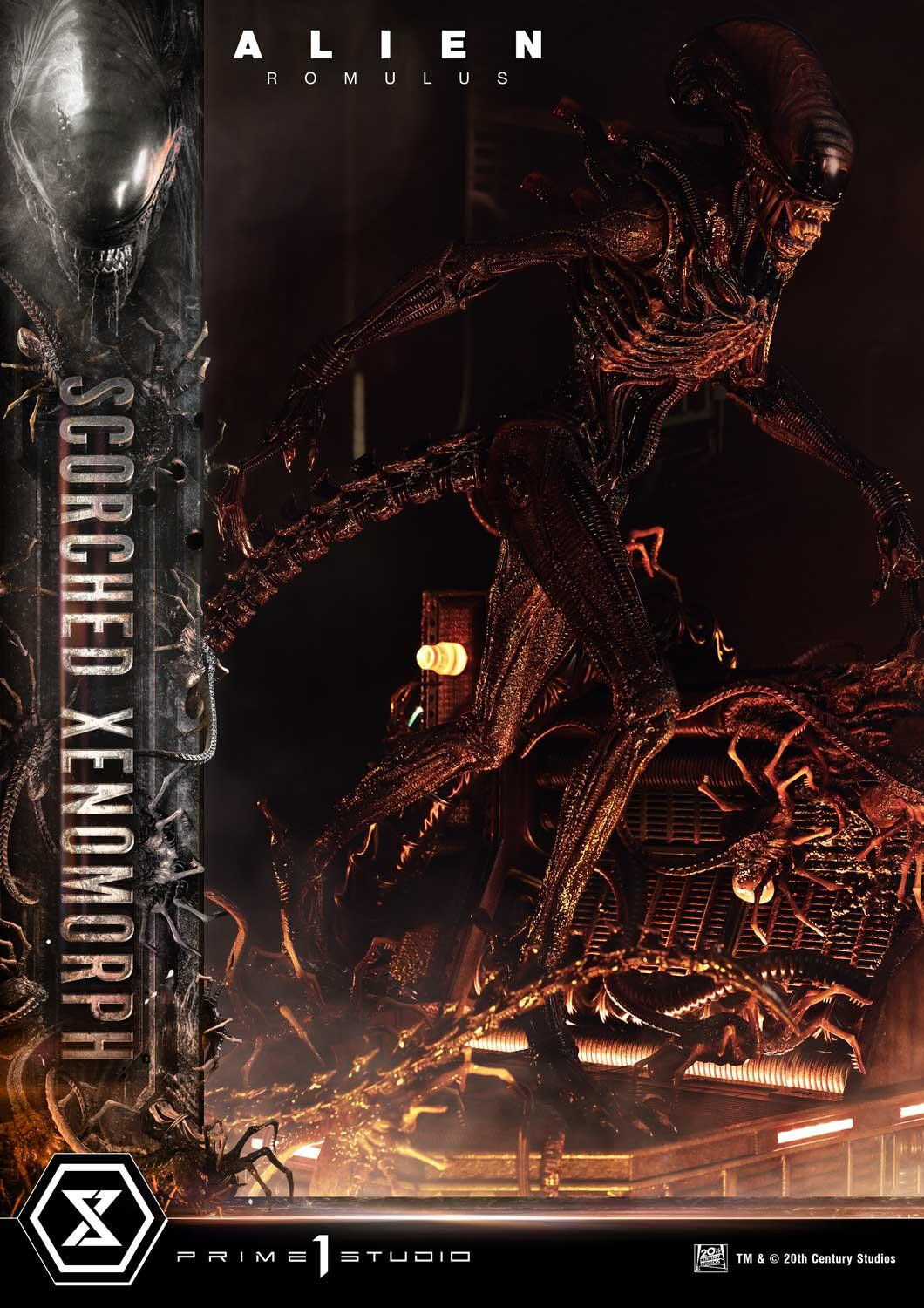 Alien: Romulus - Facehugger - Scorched Alien - Museum Masterline XL (MMXLAL-02DXS) - 1/3 - DX Bonus Version (Prime 1 Studio) photo 41