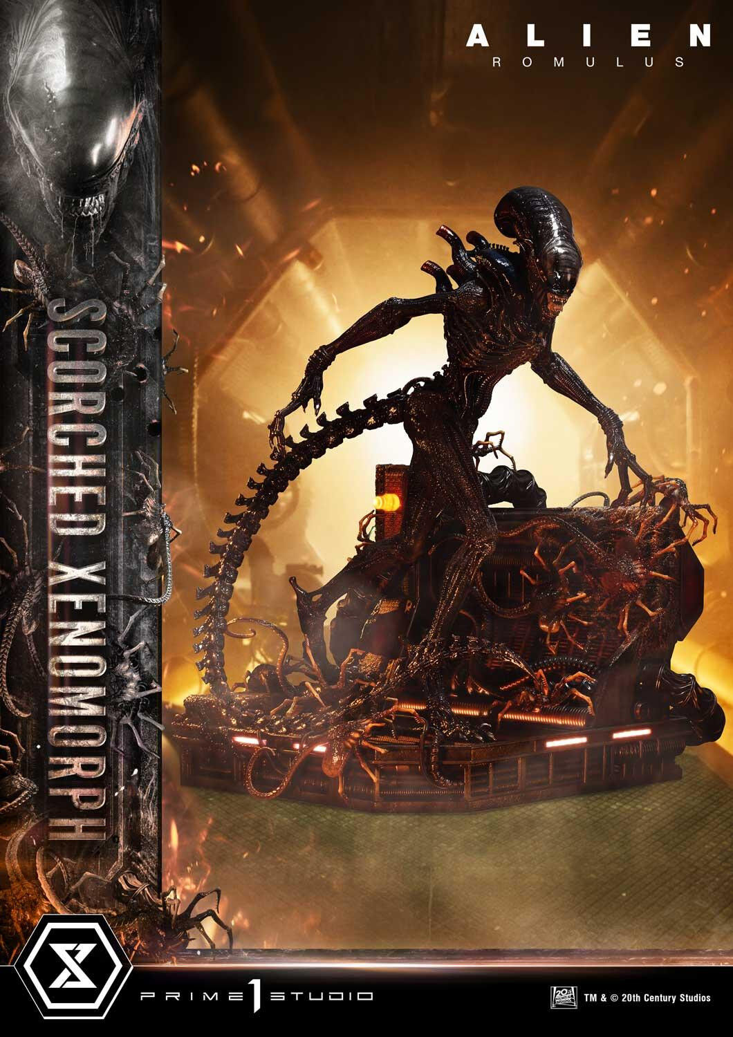 Alien: Romulus - Facehugger - Scorched Alien - Museum Masterline XL (MMXLAL-02DXS) - 1/3 - DX Bonus Version (Prime 1 Studio) photo 61
