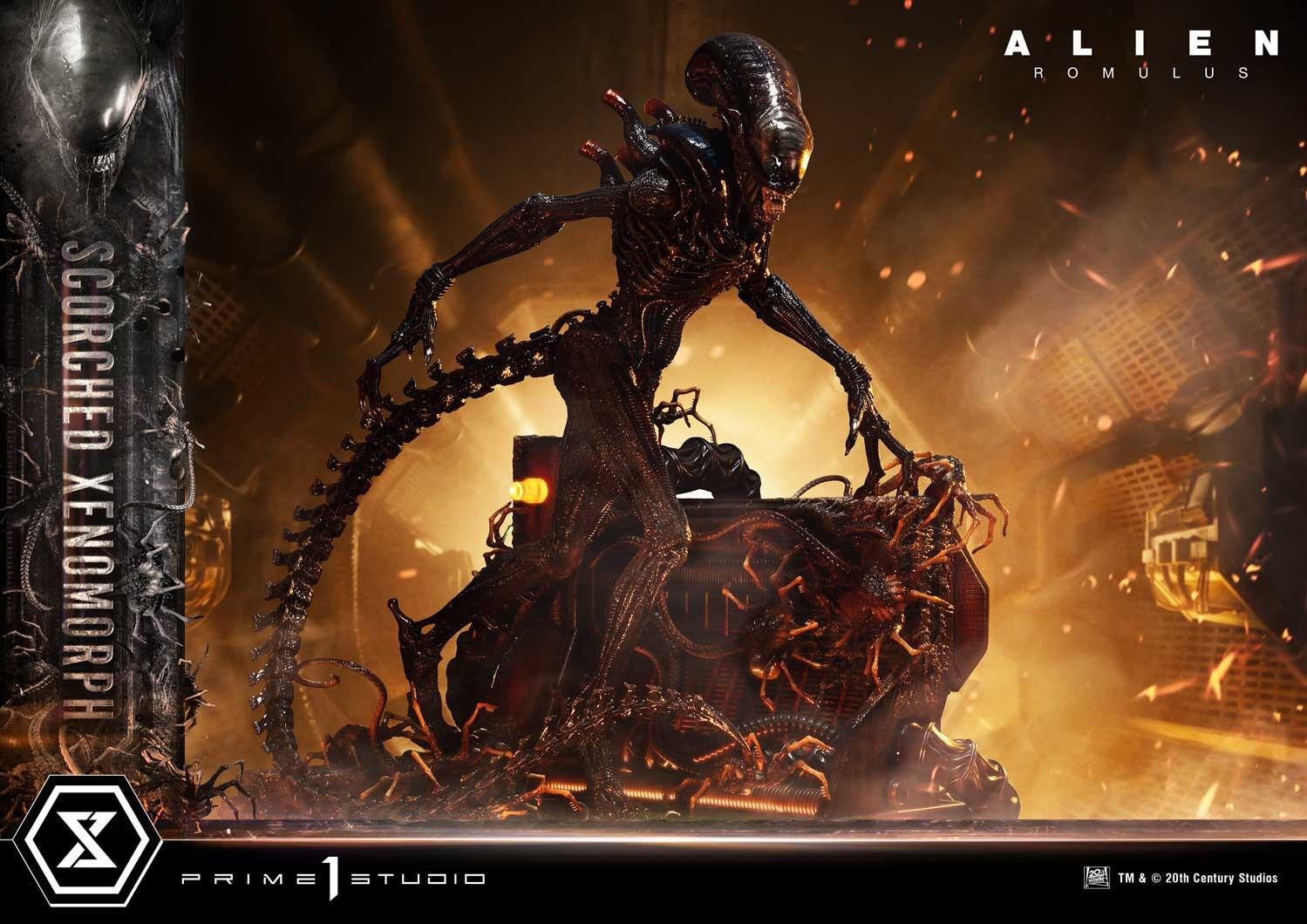 Alien: Romulus - Facehugger - Scorched Alien - Museum Masterline XL (MMXLAL-02DXS) - 1/3 - DX Bonus Version (Prime 1 Studio) photo 64