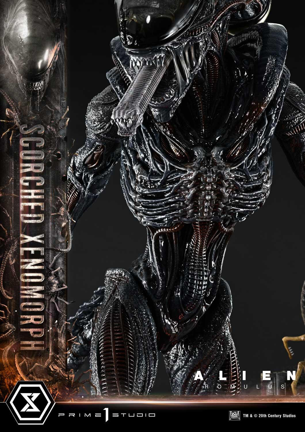 Alien: Romulus - Facehugger - Scorched Alien - Museum Masterline XL (MMXLAL-02DXS) - 1/3 - DX Bonus Version (Prime 1 Studio) photo 71