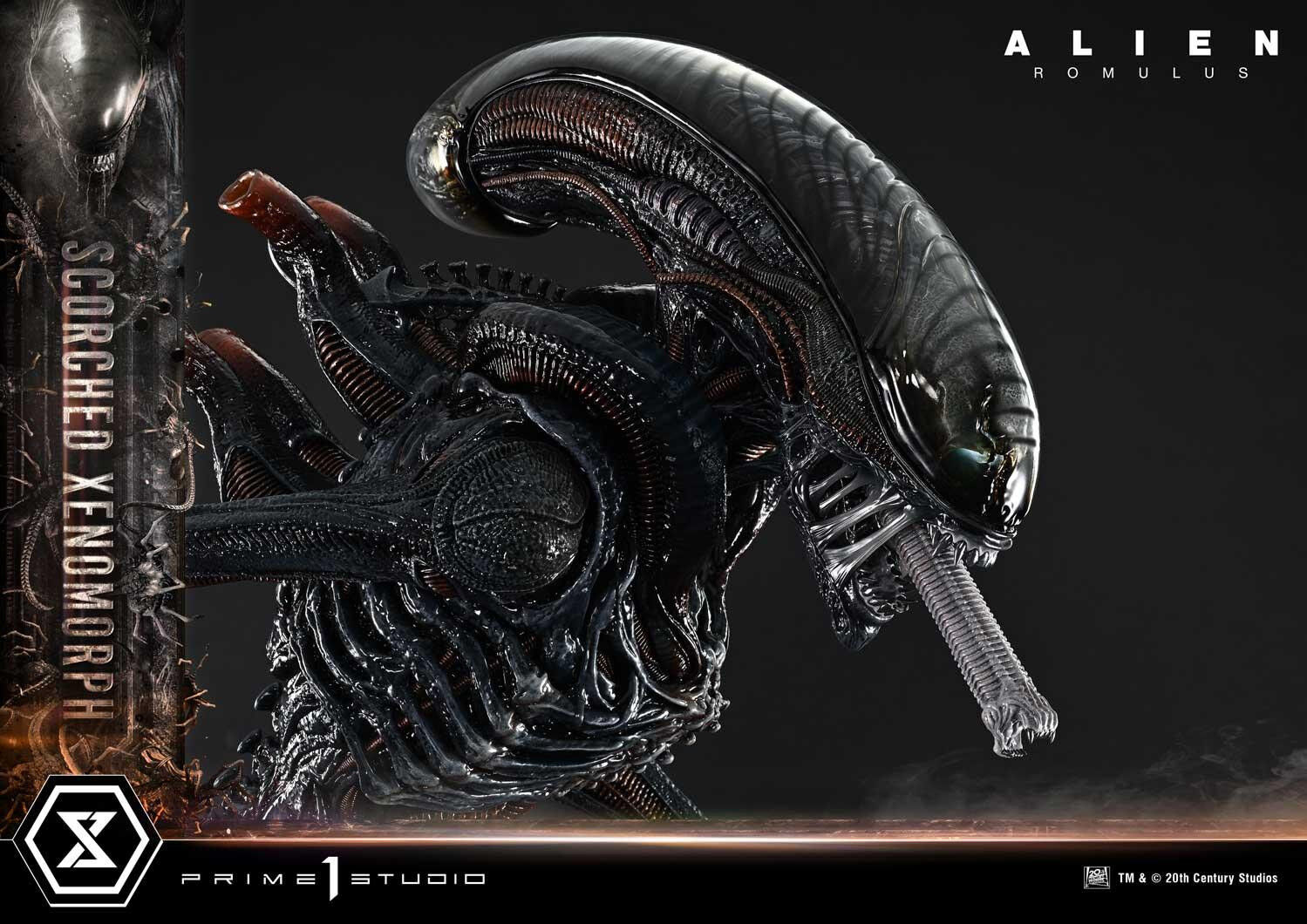 Alien: Romulus - Facehugger - Scorched Alien - Museum Masterline XL (MMXLAL-02DXS) - 1/3 - DX Bonus Version (Prime 1 Studio) photo 73
