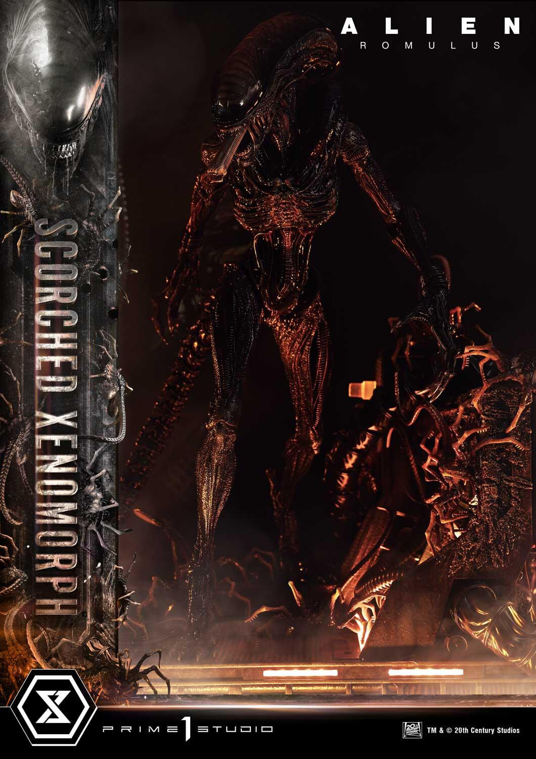 Alien: Romulus - Facehugger - Scorched Alien - Museum Masterline XL (MMXLAL-02DXS) - 1/3 - DX Bonus Version (Prime 1 Studio) photo 74