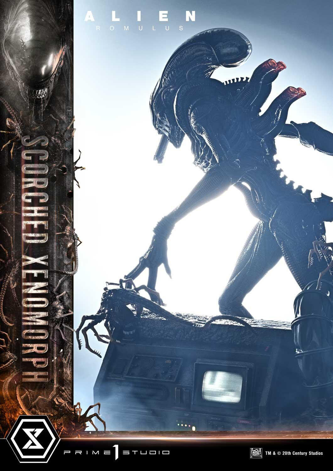 Alien: Romulus - Facehugger - Scorched Alien - Museum Masterline XL (MMXLAL-02DXS) - 1/3 - DX Bonus Version (Prime 1 Studio) photo 84