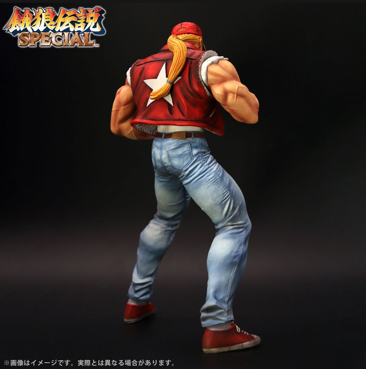 The King of Fighters - Terry Bogard - The King of Collectors'24 - 1/8 - HG Damage ver. (Studio24) photo 5