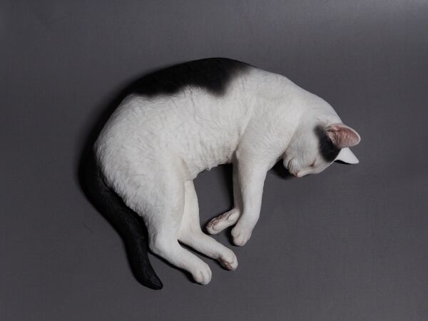 Original - Doujin Figure - Moriguchi Osamu no Neko  (26) (Moriguchi Osamu) photo 2