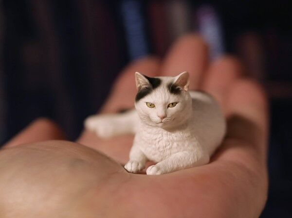 Original - Doujin Figure - Moriguchi Osamu no Neko  (28) (Moriguchi Osamu) photo 2