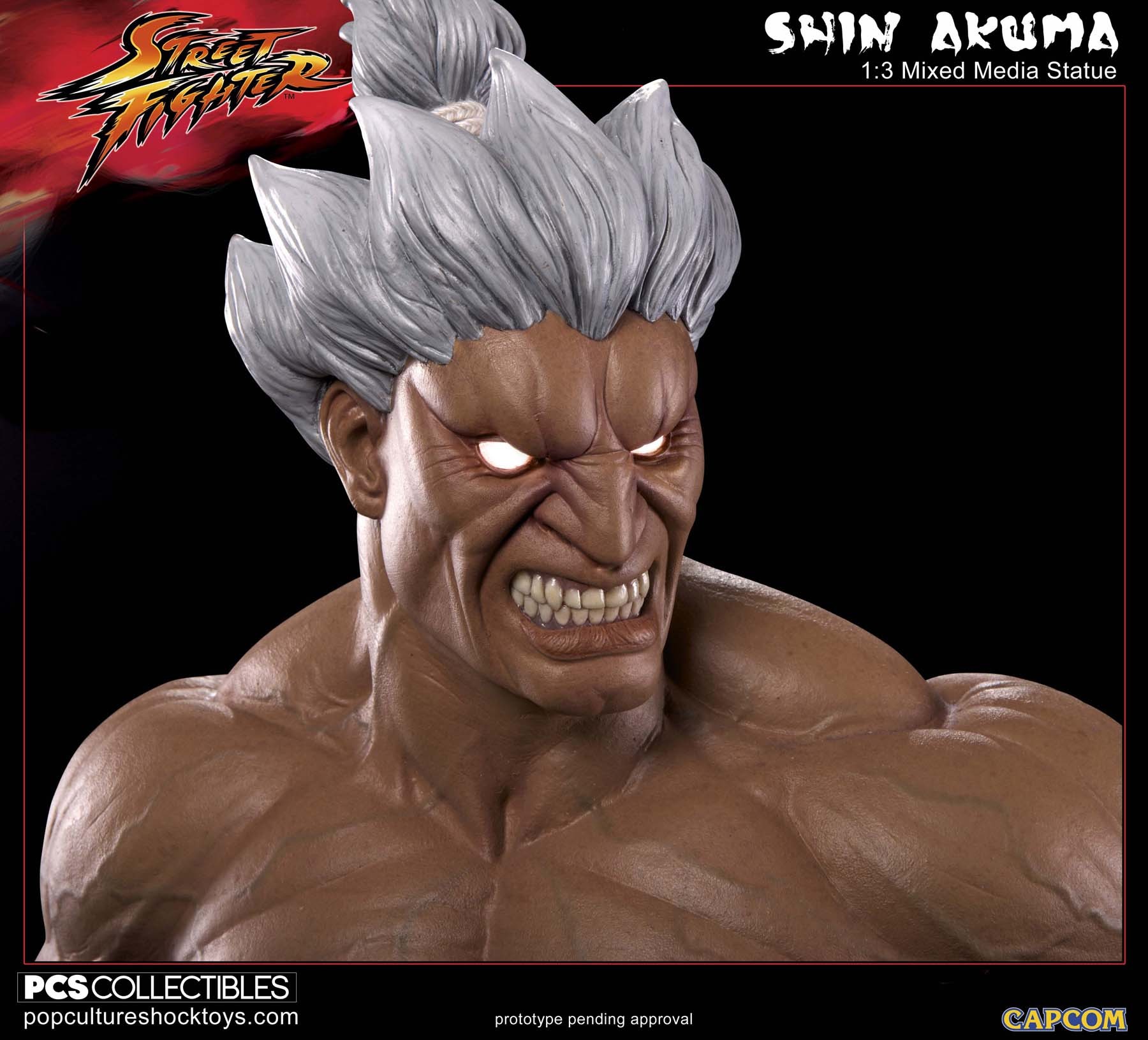 Street Fighter IV - Shin Gouki - Mixed Media - 1/3 (Premium Collectibles Studio) photo 2