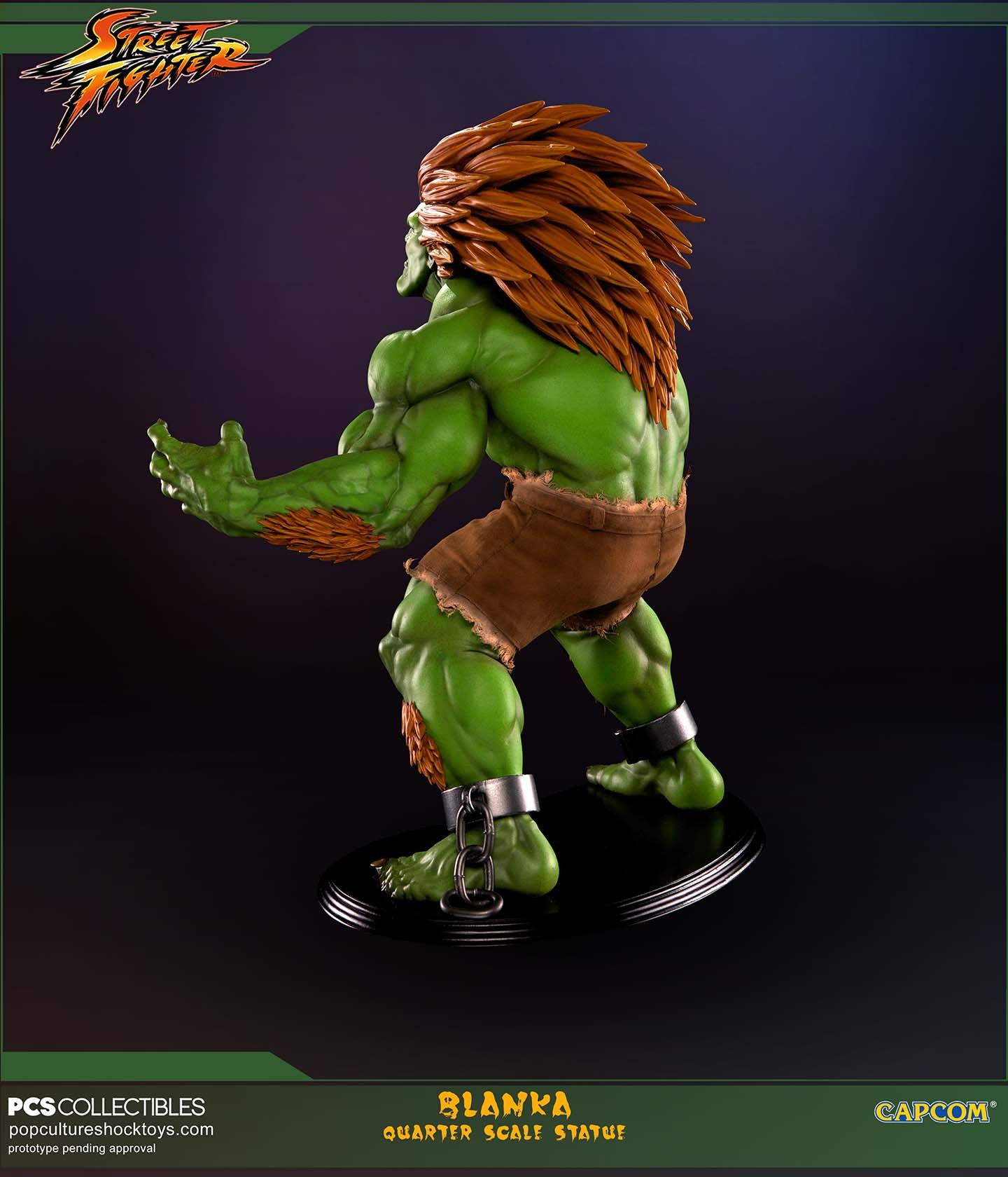 Street Fighter IV - Blanka - Mixed Media - 1/4 (Premium Collectibles Studio) photo 8