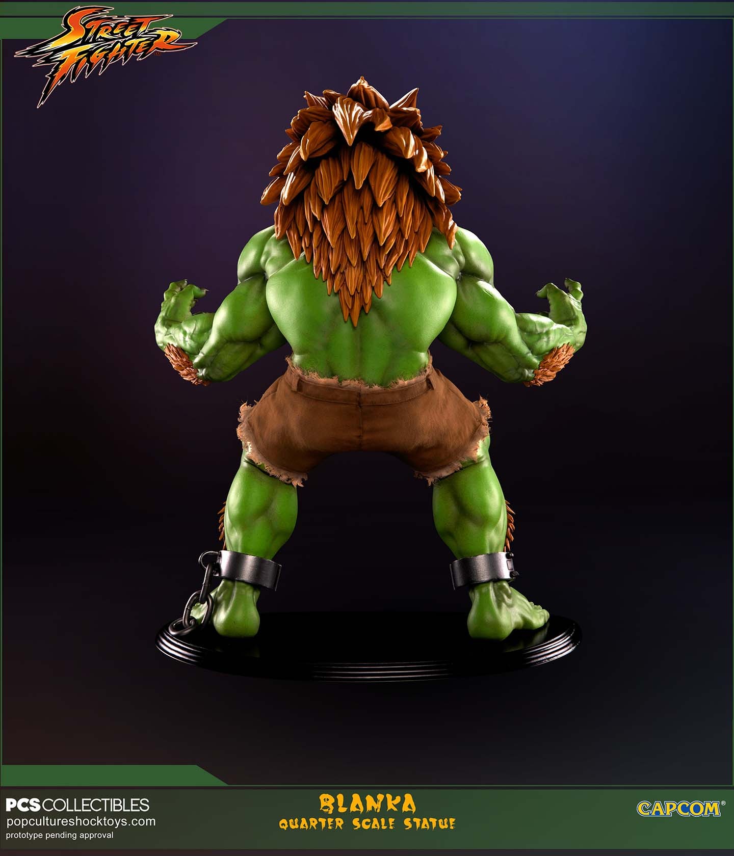 Street Fighter IV - Blanka - Mixed Media - 1/4 (Premium Collectibles Studio) photo 11