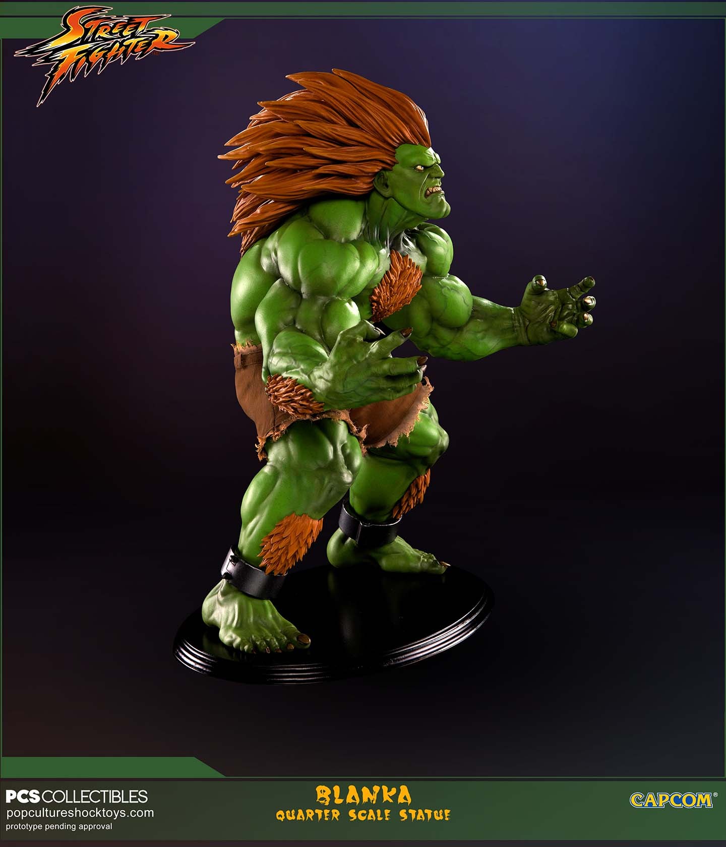 Street Fighter IV - Blanka - Mixed Media - 1/4 (Premium Collectibles Studio) photo 7