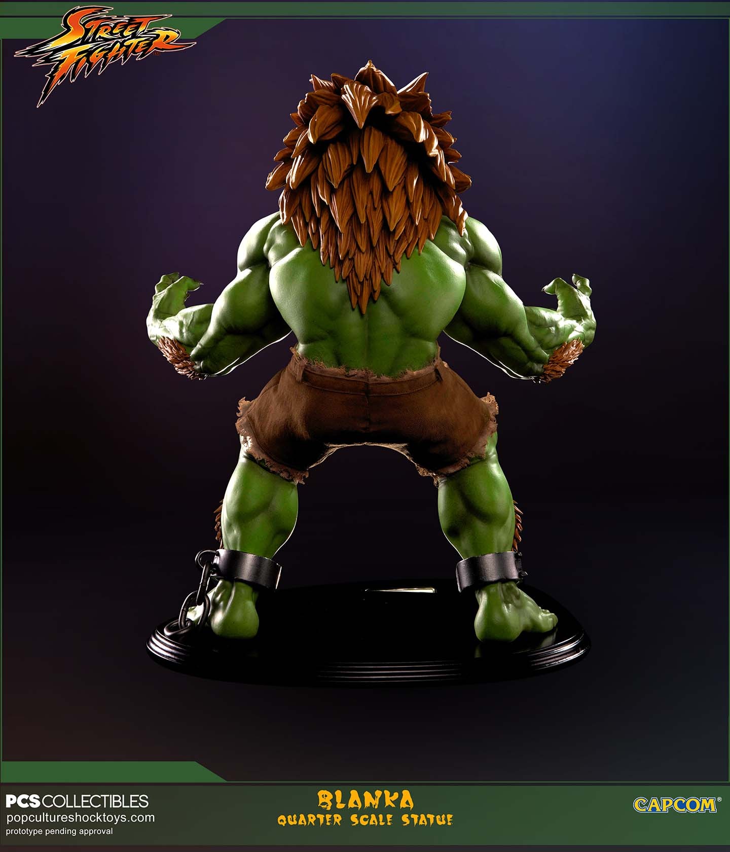 Street Fighter IV - Blanka - Mixed Media - 1/4 (Premium Collectibles Studio) photo 20