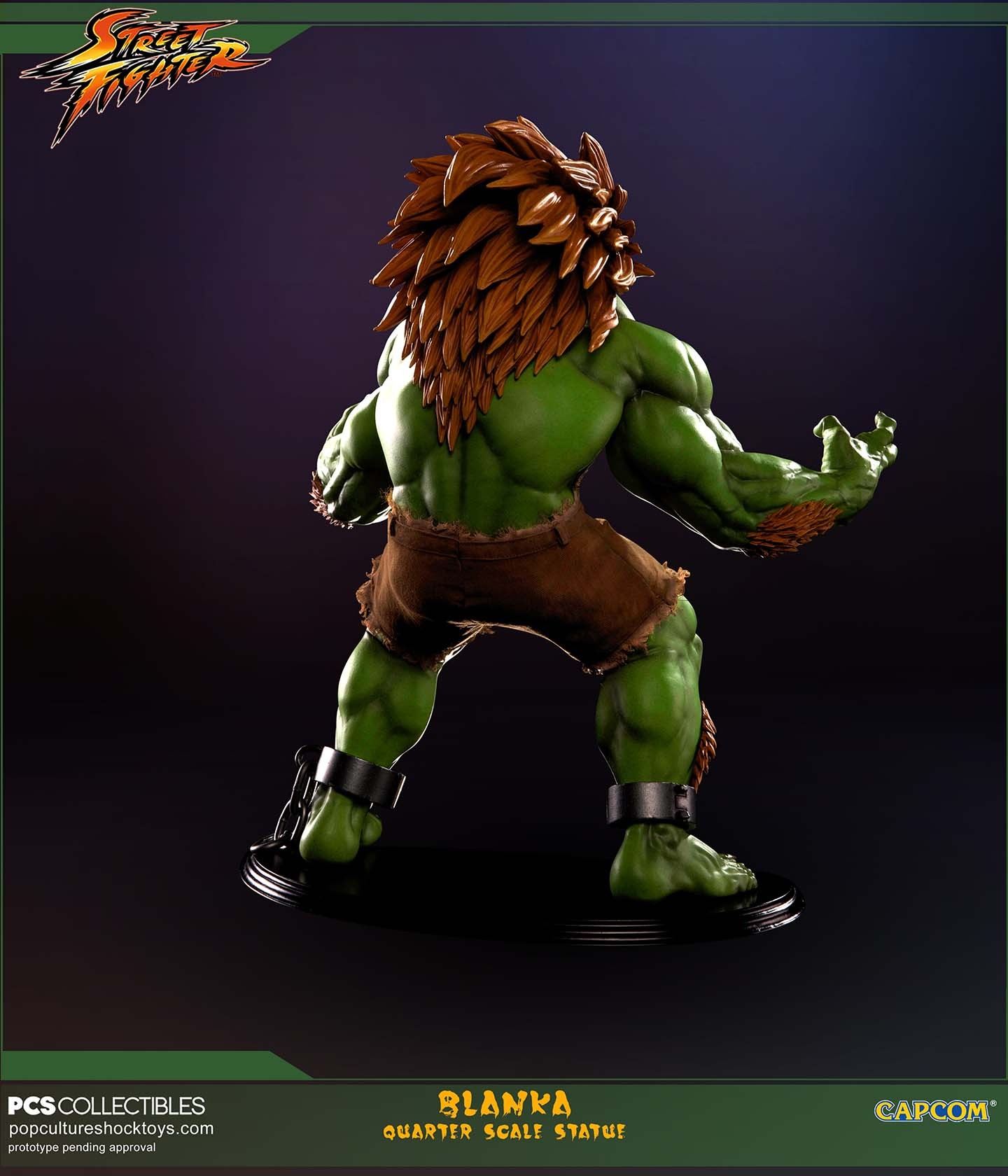 Street Fighter IV - Blanka - Mixed Media - 1/4 (Premium Collectibles Studio) photo 23