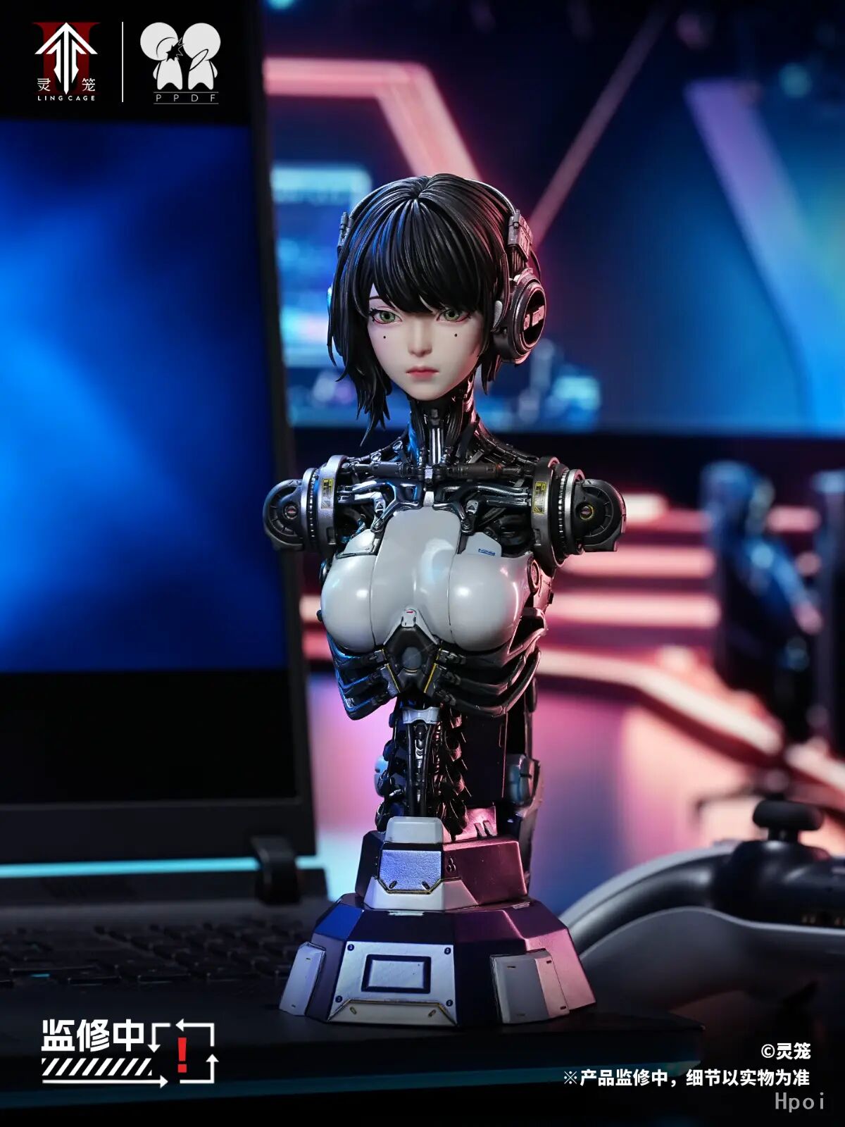 Ling Cage - Bust - ASH - 1/4 (PPDF) photo 9