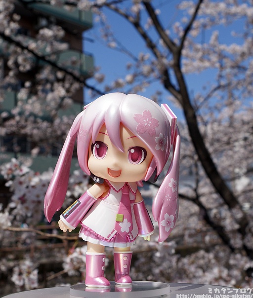 Vocaloid - Mikudayo - Nendoroid (#499) - Sakura ver. (Good Smile Company) photo 21