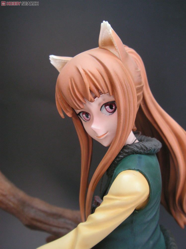 Ookami to Koushinryou - Holo - 1/7 - A Rest in the Forest Ver. (Global) photo 9