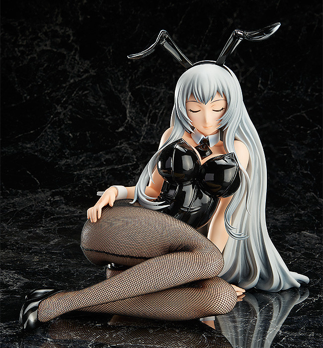 Ikki Tousen: Extravaganza Epoch - Chouun Shiryuu - B-style - 1/4 - Bunny ver. (FREEing) photo 3