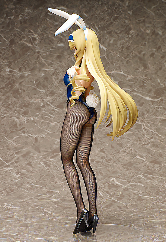 IS: Infinite Stratos - Cecilia Alcott - B-style - 1/4 - Bunny ver., 2nd (FREEing) photo 6