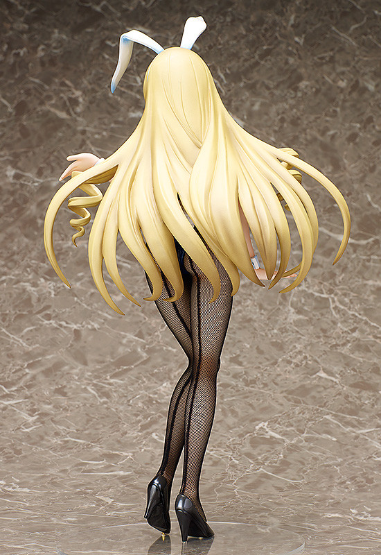 IS: Infinite Stratos - Cecilia Alcott - B-style - 1/4 - Bunny ver., 2nd (FREEing) photo 8