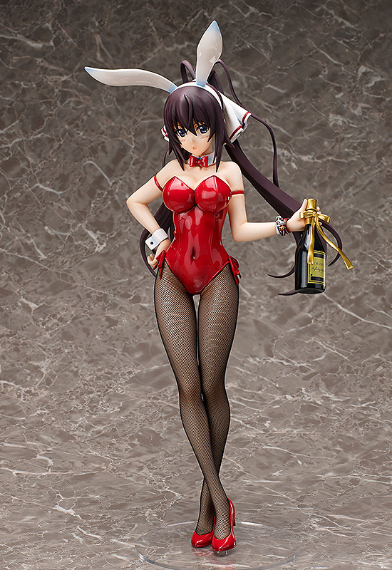 IS: Infinite Stratos - Shinonono Houki - B-style - 1/4 - Bunny ver. (FREEing) photo 3