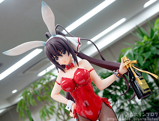 IS: Infinite Stratos - Shinonono Houki - B-style - 1/4 - Bunny ver. (FREEing) photo 4