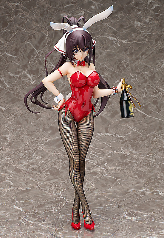 IS: Infinite Stratos - Shinonono Houki - B-style - 1/4 - Bunny ver. (FREEing) photo 7