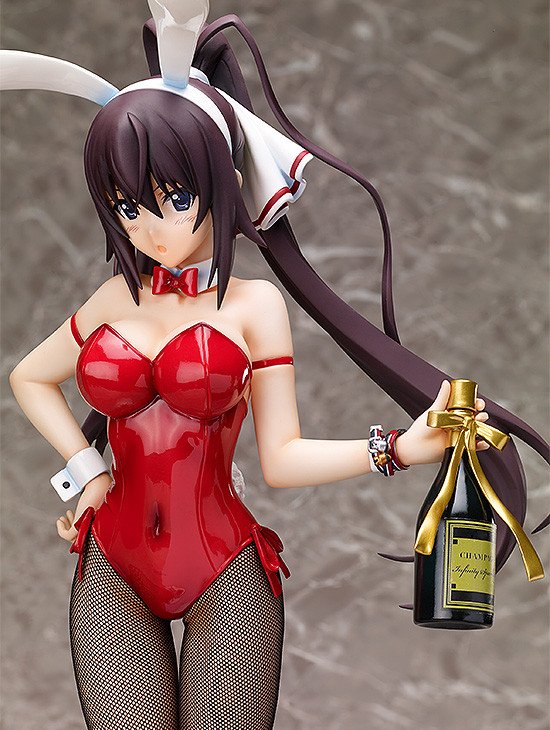 IS: Infinite Stratos - Shinonono Houki - B-style - 1/4 - Bunny ver. (FREEing) photo 8
