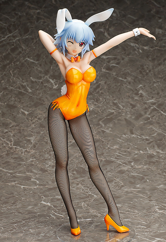 IS: Infinite Stratos - Sarashiki Tatenashi - B-style - 1/4 - Bunny ver. (FREEing) photo 5