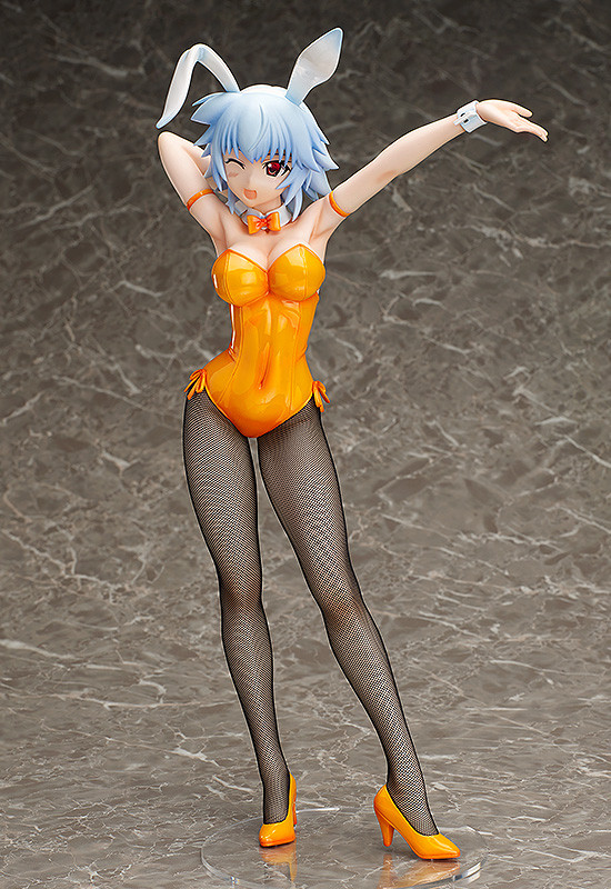 IS: Infinite Stratos - Sarashiki Tatenashi - B-style - 1/4 - Bunny ver. (FREEing) photo 8