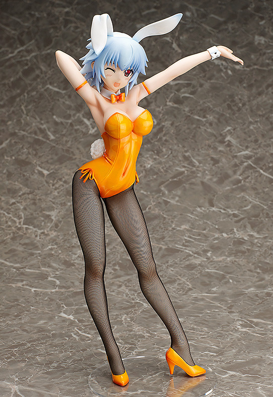 IS: Infinite Stratos - Sarashiki Tatenashi - B-style - 1/4 - Bunny ver. (FREEing) photo 9