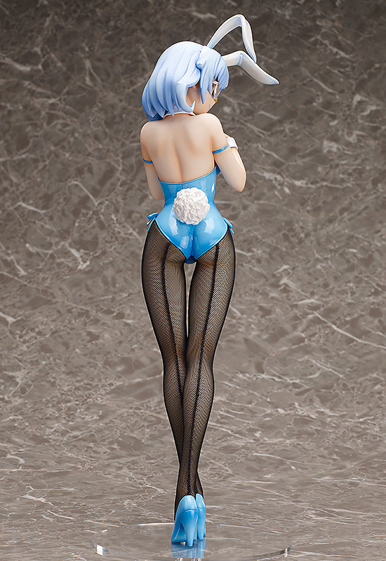 IS: Infinite Stratos - Sarashiki Kanzashi - B-style - 1/4 - Bunny ver. (FREEing) photo 9