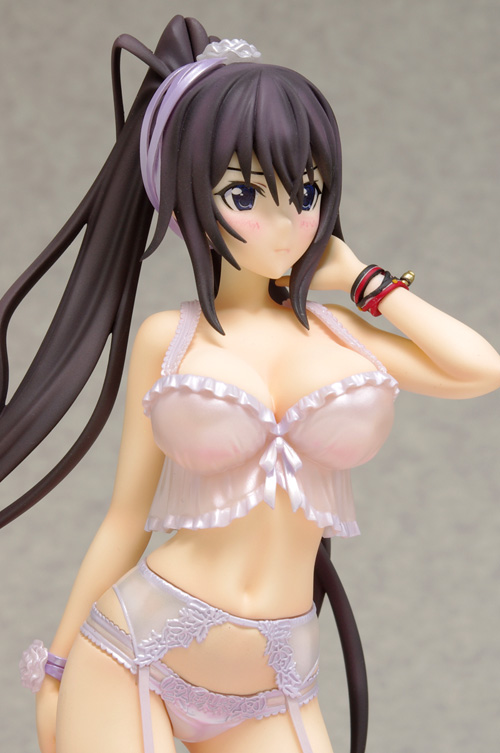 IS: Infinite Stratos 2 - Shinonono Houki - DreamTech LingerieStyle Series - 1/8 (Wave) photo 4