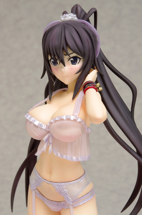 IS: Infinite Stratos 2 - Shinonono Houki - DreamTech LingerieStyle Series - 1/8 (Wave) photo 5