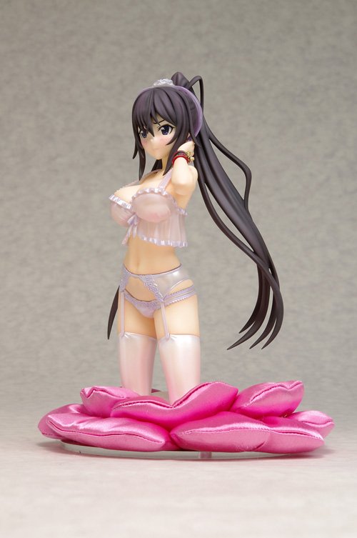 IS: Infinite Stratos 2 - Shinonono Houki - DreamTech LingerieStyle Series - 1/8 (Wave) photo 6