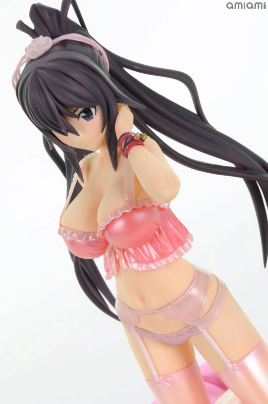 IS: Infinite Stratos 2 - Shinonono Houki - DreamTech LingerieStyle Series - 1/8 - Limited ver. (Animaru!, Wave) photo 3