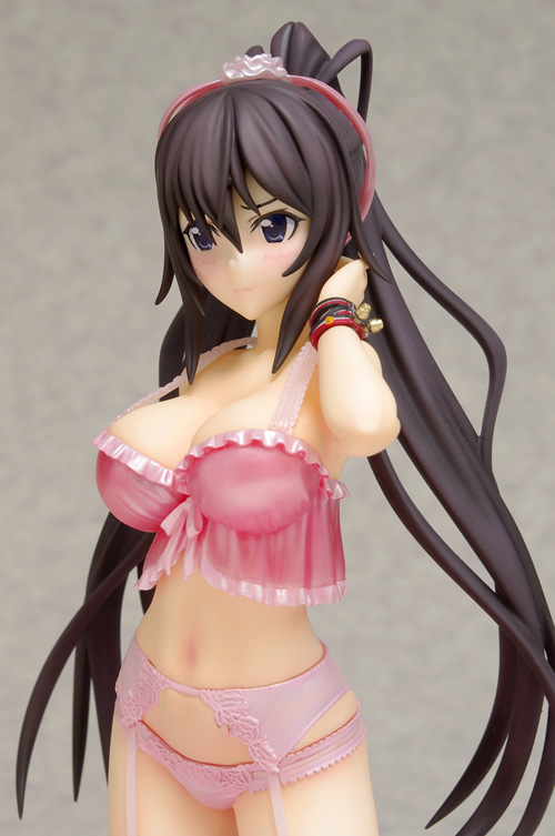 IS: Infinite Stratos 2 - Shinonono Houki - DreamTech LingerieStyle Series - 1/8 - Limited ver. (Animaru!, Wave) photo 5