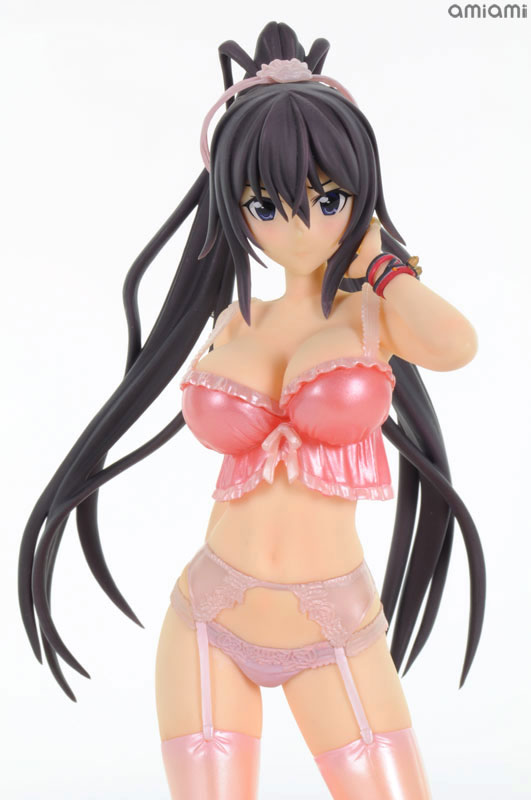 IS: Infinite Stratos 2 - Shinonono Houki - DreamTech LingerieStyle Series - 1/8 - Limited ver. (Animaru!, Wave) photo 6