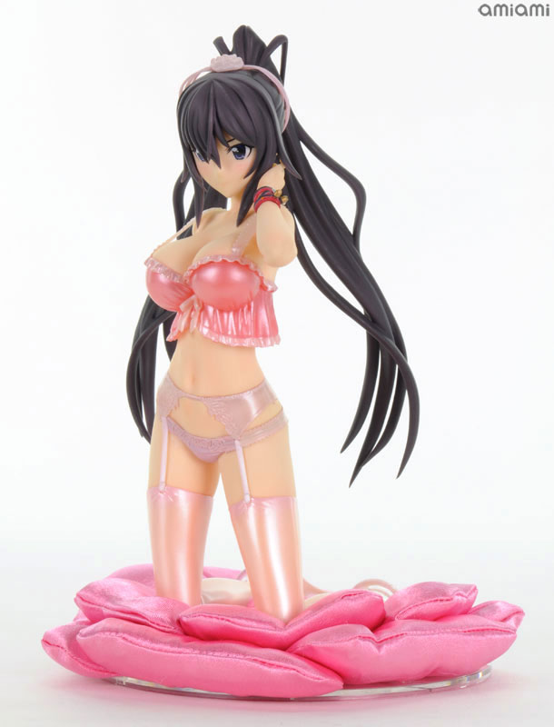 IS: Infinite Stratos 2 - Shinonono Houki - DreamTech LingerieStyle Series - 1/8 - Limited ver. (Animaru!, Wave) photo 9