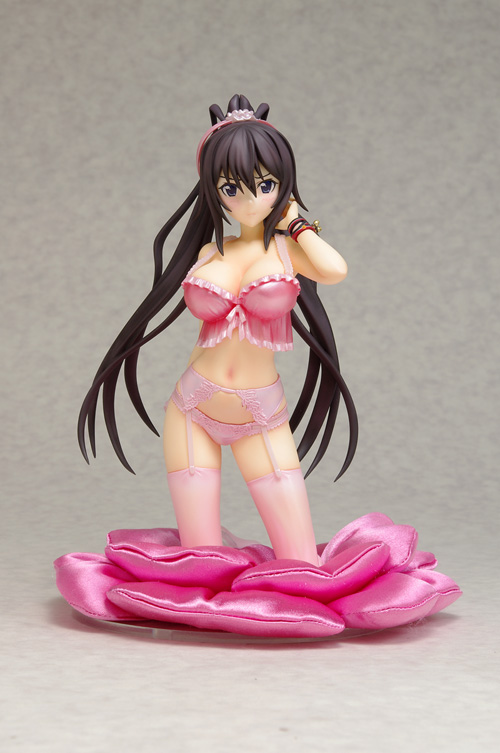 IS: Infinite Stratos 2 - Shinonono Houki - DreamTech LingerieStyle Series - 1/8 - Limited ver. (Animaru!, Wave) photo 12