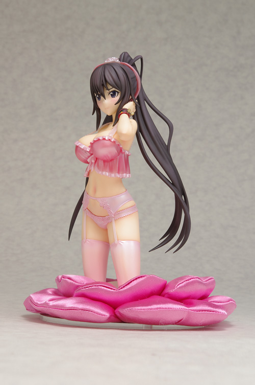 IS: Infinite Stratos 2 - Shinonono Houki - DreamTech LingerieStyle Series - 1/8 - Limited ver. (Animaru!, Wave) photo 14