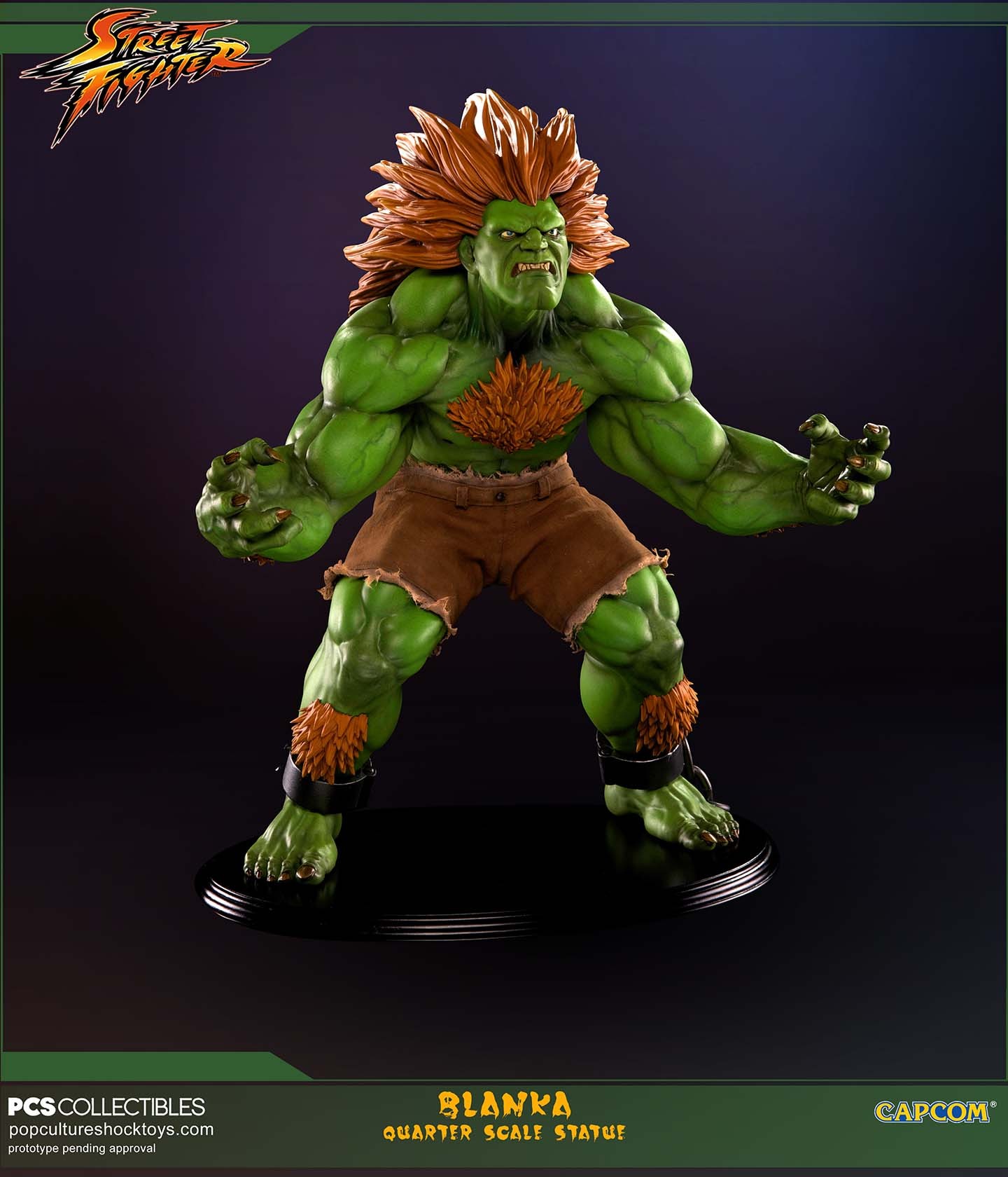 Street Fighter IV - Blanka - Mixed Media - 1/4 - Savage (Premium Collectibles Studio) photo 30