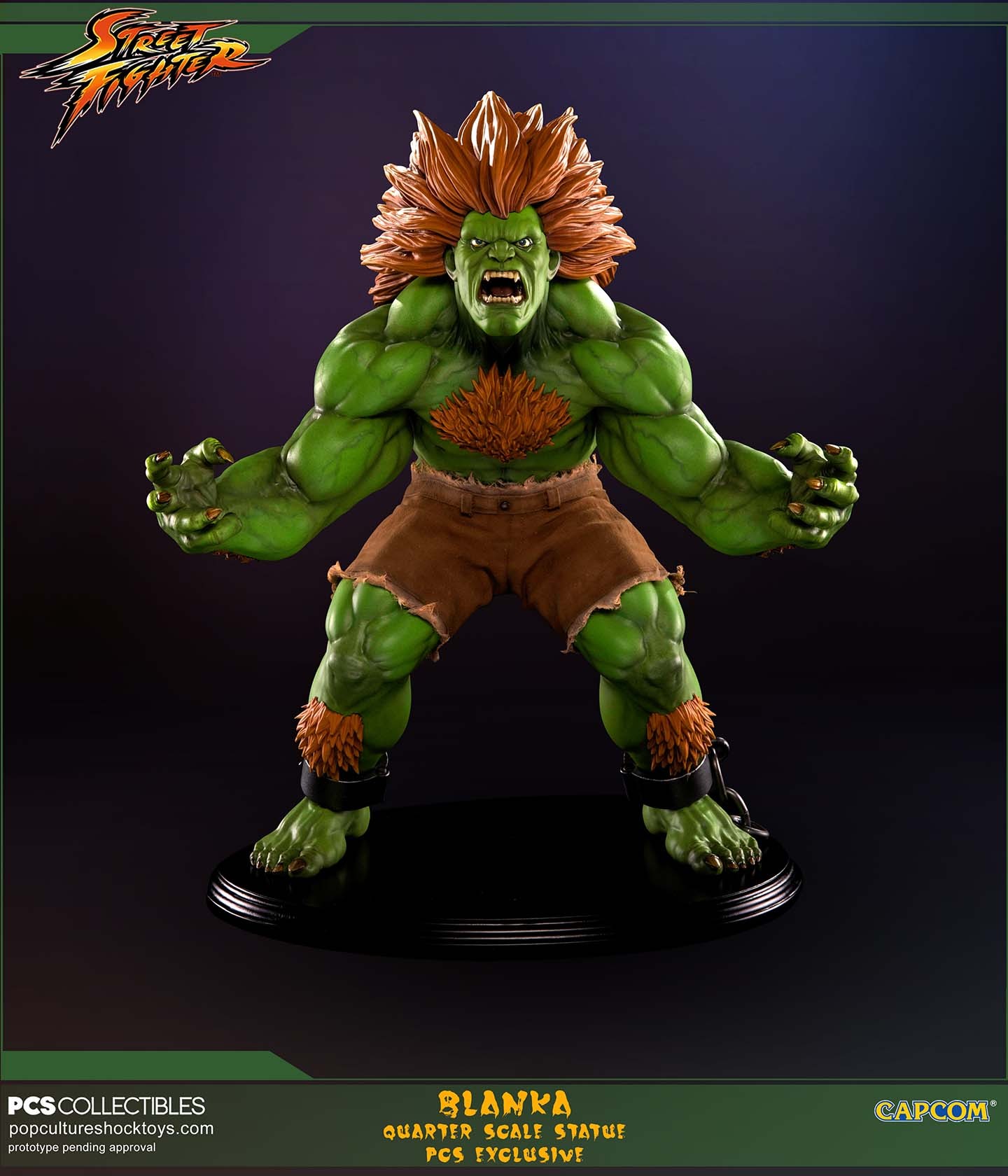 Street Fighter IV - Blanka - Mixed Media - 1/4 - Savage (Premium Collectibles Studio) photo 42