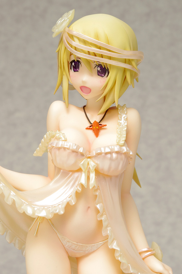 IS: Infinite Stratos 2 - Charlotte Dunois - DreamTech LingerieStyle Series - 1/8 - Limited ver. (Animaru!, Wave) photo 4