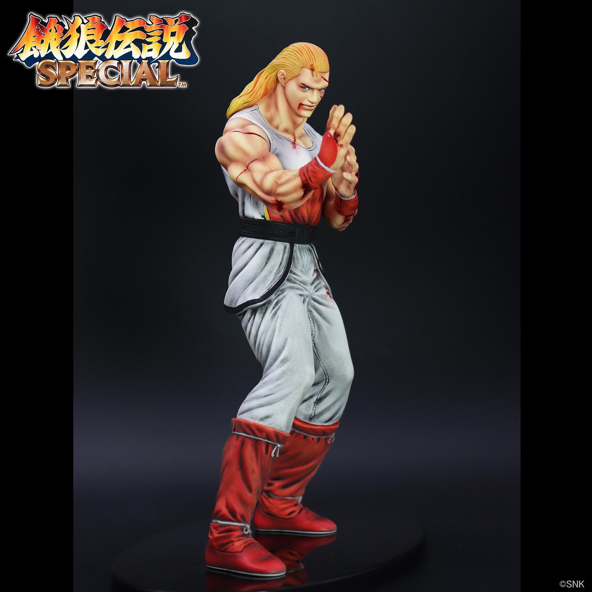Garou Densetsu Special - Andy Bogard - The King of Collectors'24 - HG Damage Ver. (Studio24) photo 2