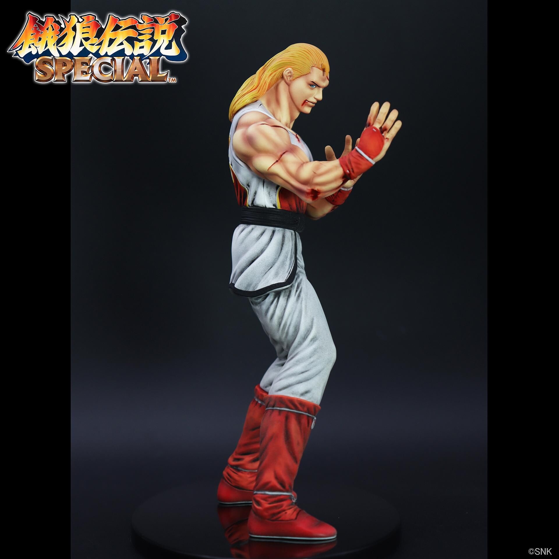 Garou Densetsu Special - Andy Bogard - The King of Collectors'24 - HG Damage Ver. (Studio24) photo 4