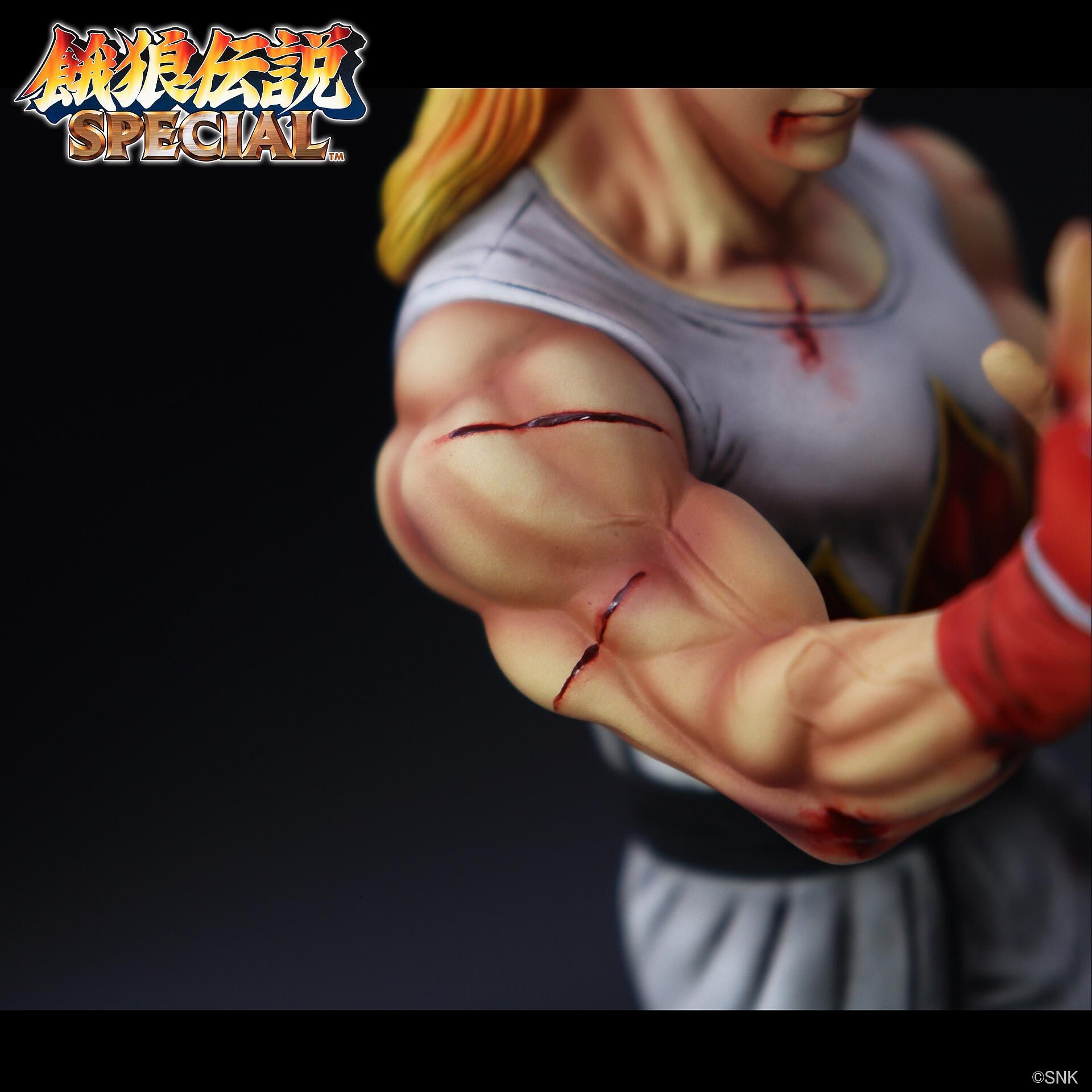 Garou Densetsu Special - Andy Bogard - The King of Collectors'24 - HG Damage Ver. (Studio24) photo 5