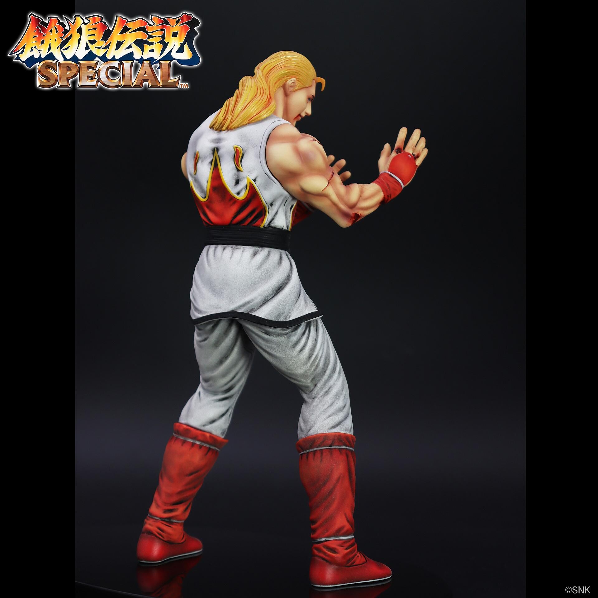 Garou Densetsu Special - Andy Bogard - The King of Collectors'24 - HG Damage Ver. (Studio24) photo 6