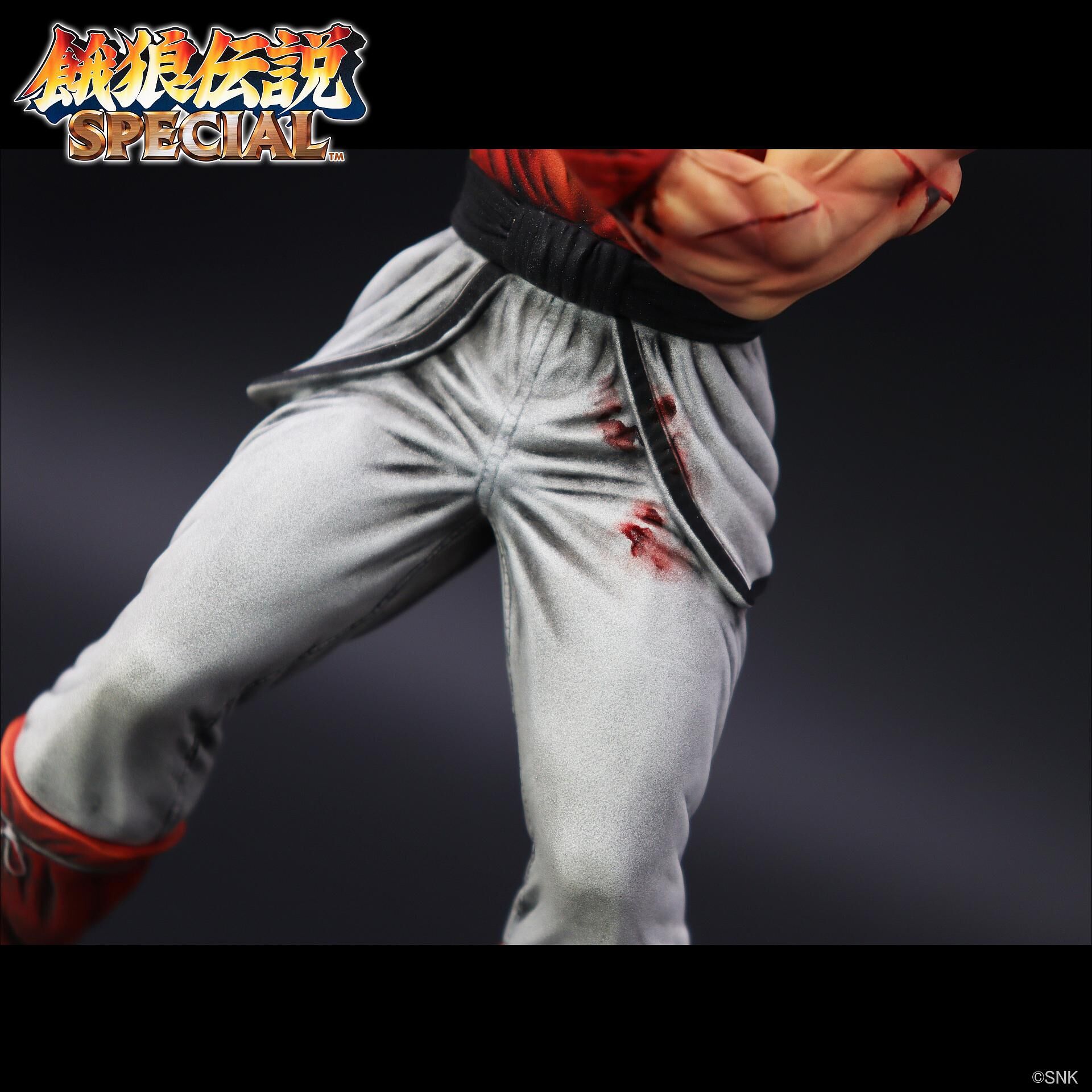 Garou Densetsu Special - Andy Bogard - The King of Collectors'24 - HG Damage Ver. (Studio24) photo 7